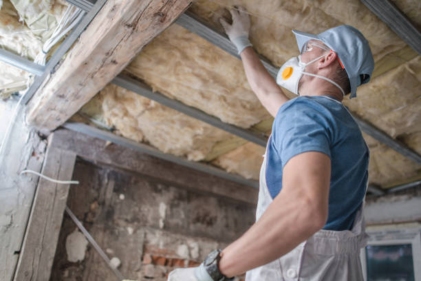 Best Home Insulation Services  in Aberdeen, MS