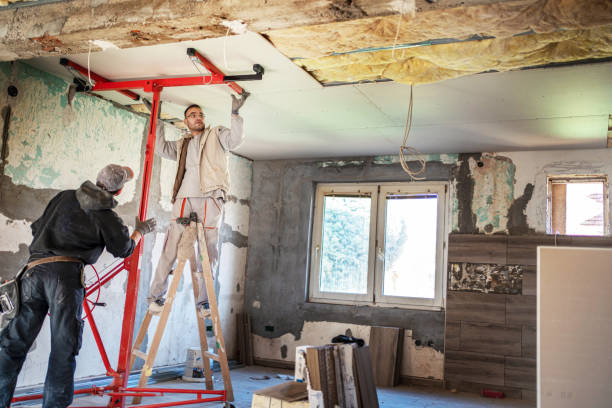 Best Local Insulation Services  in Aberdeen, MS