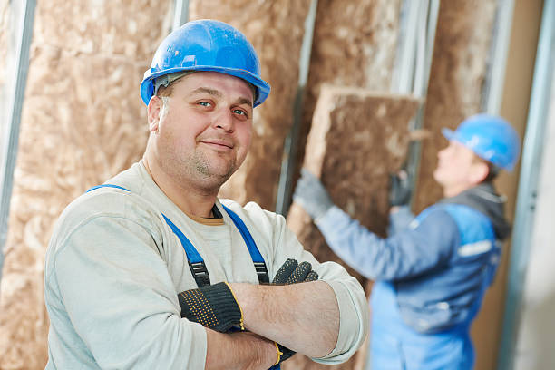 Best Best Insulation Companies  in Aberdeen, MS